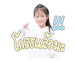 88057381