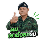 880582733