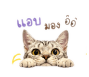 880587440