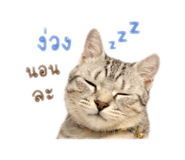 880587446