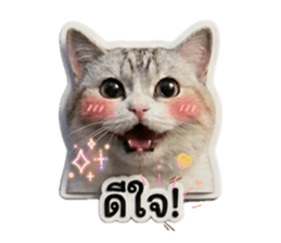 880591542