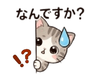 880607987