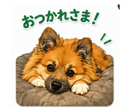 880609674