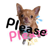 880631860