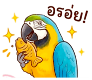 880643815