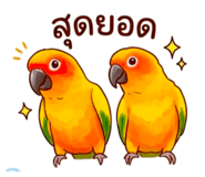 880643816