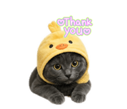 880692336