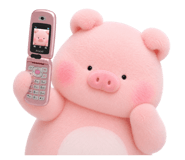 880696060