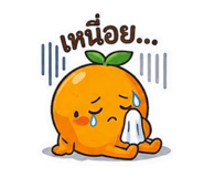 880696653