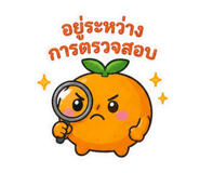 880696668