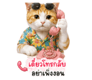 880698040