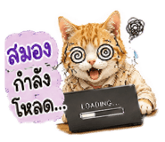 880698045
