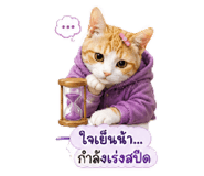 880698052