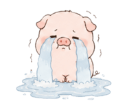 880701728