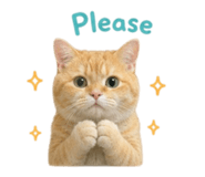 880703128