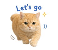 880703144