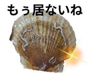 880706391