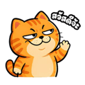880707025