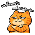 880707027