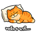 880707029