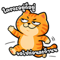 880707030