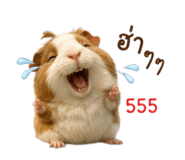 880709602