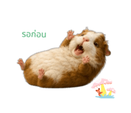 880709605
