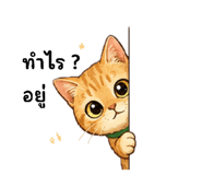880710207