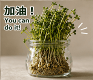 880713881