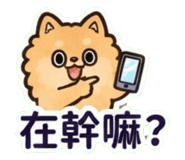 880714873