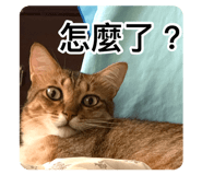 880716246
