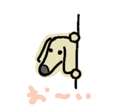 880723653