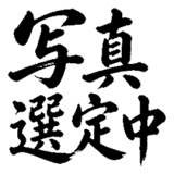 880725013