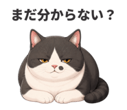 880726556