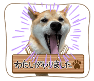 880727016