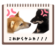 880727030