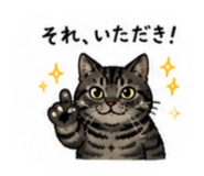 880727260