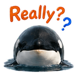 880727656