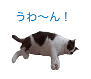 880733154