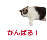 880733157