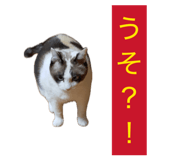 880733160