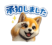 880735038