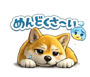 880735058