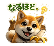 880735063