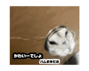 880735145