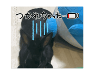 880735703
