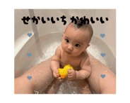 880735954