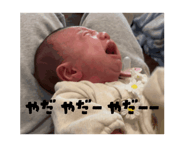 880735957