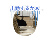 880735964