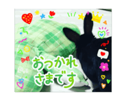 880735966
